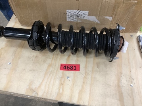 Complete Strut Assembly - Lot 4681
