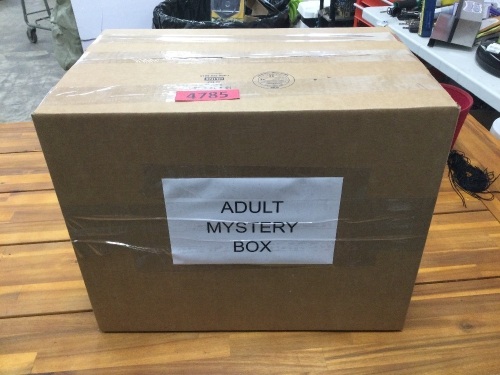 Adult Mystery Box - Lot 4785
