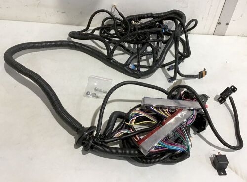 Standalone Wiring Harness for 1997-2006 DBC LS1 4L80E DBC LS1 4.8 5.3 6.0 - Lot 312