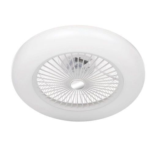 Modern LED Ceiling Fan - Lot 300