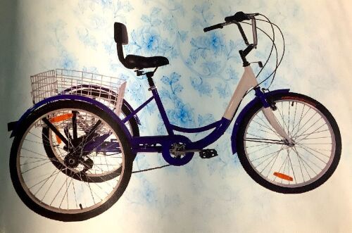 Adult Tricycle - Not Assembled - Lot 20