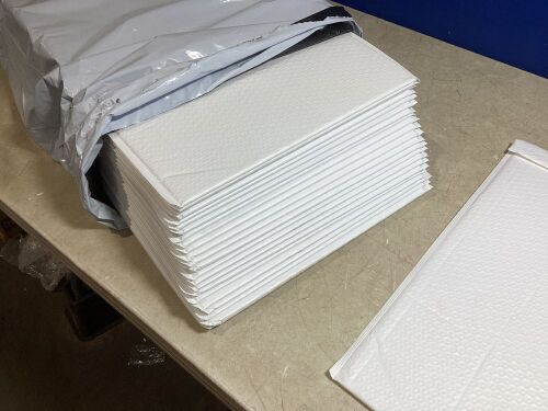 Lot of Shipping Envelopes with Inner Bubble Wrap - Lot 433