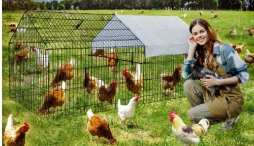 Large Metal Walk-in Poultry Cage w/ Waterproof & Anti-Ultraviolet Cover, Black w/ Grey Cover, May Be Missing Hardware - Lot 137