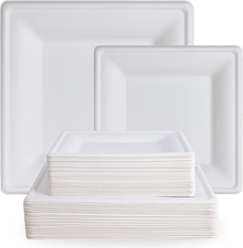 ECOLipak 120 Pack Compostable Paper Plates - Lot 393