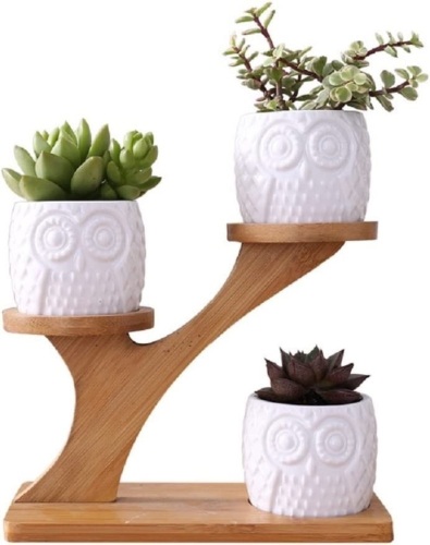 Owl Succulent Pots with 3 Tier Bamboo Stand - Lot 527