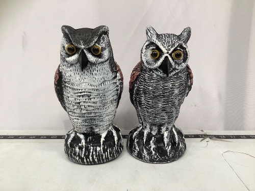 Lot of (2) Owl Decoys - Lot 529