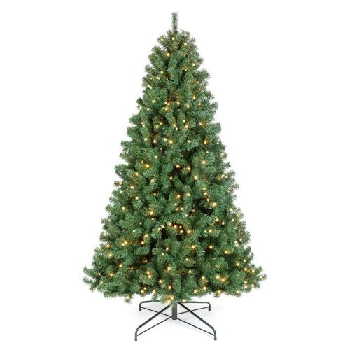 Pre-Lit Instant No Fluff Artificial Spruce Christmas Tree w/ Memory Branches - Lot 86