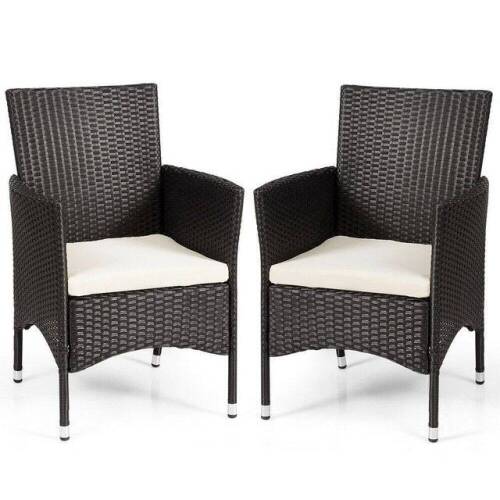 Set of (2) Rattan Cushioned Patio Chairs - Lot 509