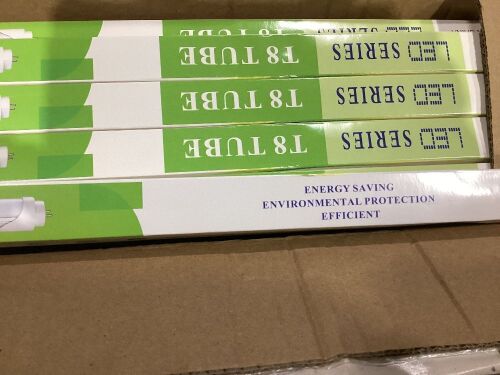 Lot of (10) T8 LED Bulbs - Lot 649
