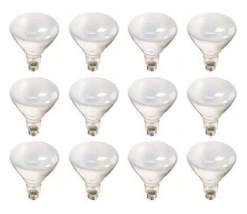 12-Pack of Philips 65W BR40 Incandescent Flood Light Bulbs - Soft White - Lot 843