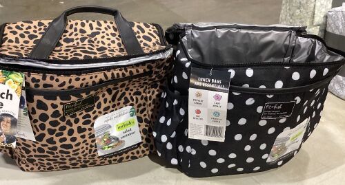 Lot of (2) Lunch Totes - Lot 296