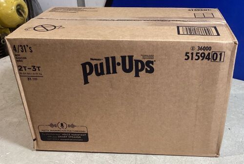 124-Count Pull-Ups Boy's Learning Designs Training Pants - 2T-3T - Lot 412