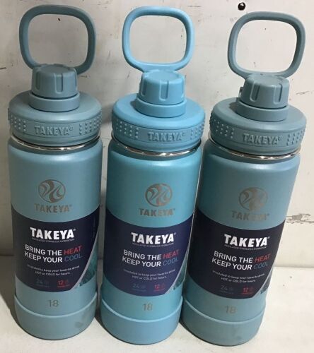 Lot of (3) Takeya 18oz Insulated Stainless Steel Drinking Bottles - Lot 1043