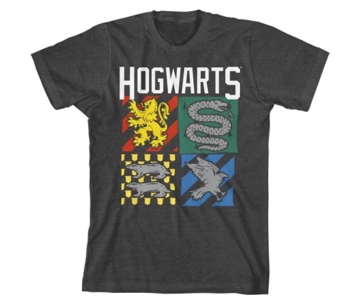 Harry Potter Hogwarts Houses Charcoal Gray Short-Sleeve T-shirt-Adult XS/S - Lot 116