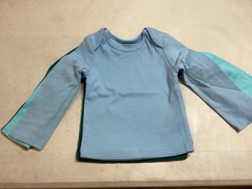 Lot of 22 Hanes Flexy Long-Sleeved Toddler Shirts, 18-24 Months - Lot 273
