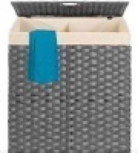 Double Laundry Hamper Basket w/ Easy Assembly, Liner Bag, Gray - Lot 470