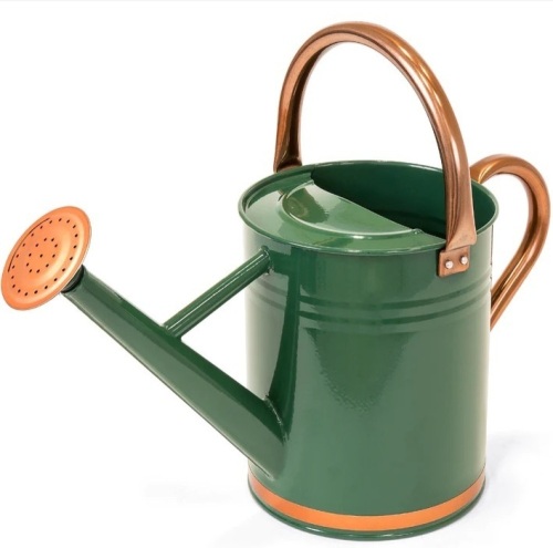 1-Gallon Galvanized Steel Watering Can - Lot 155