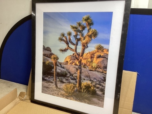 Framed Cactus Picture  - Lot 462
