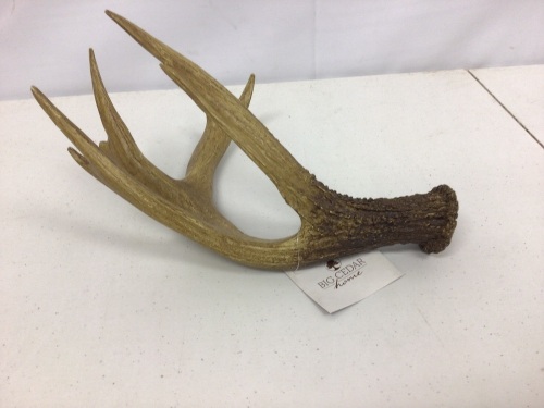 Deer Antler Decor, E-Commerce Return - Lot 249