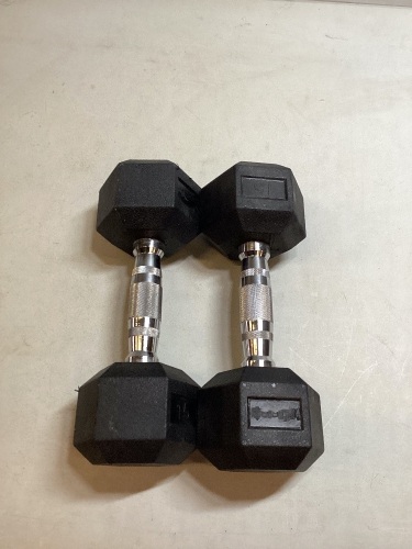 Pair of 15lb Weights - Lot 301