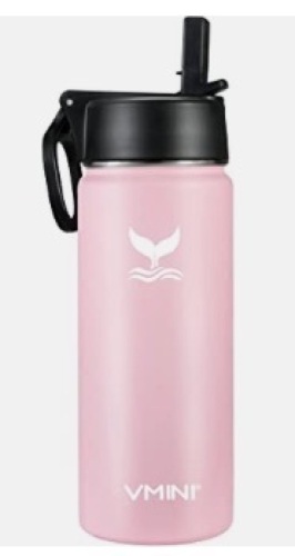 Vmini Water Bottle with Straw - Lot 532
