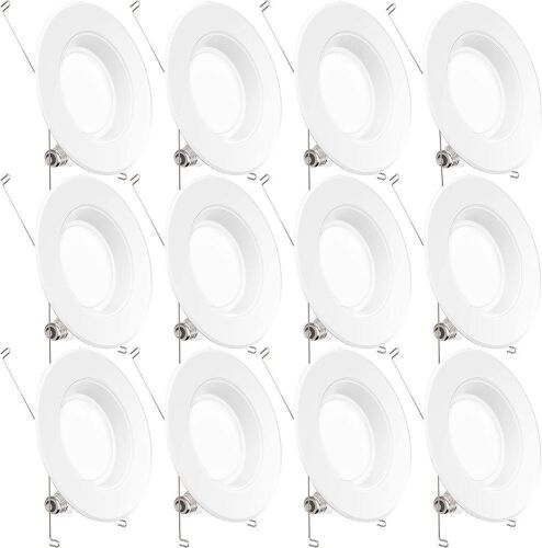 12-Place 5/6" LED Can Lights - Lot 428