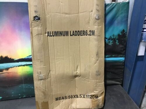 Aluminum Telescoping Ladder - Lot 593