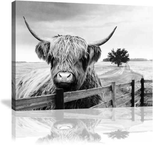 Highland Cow Canvas Picture, 12 x 16 - Lot 539
