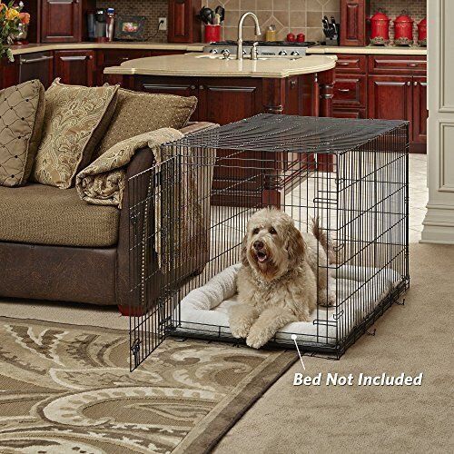 48" Collapsible Wire Dog Crate - Lot 347