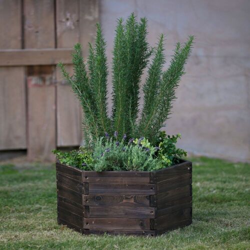 Coral Coast Guthrie Wood Hexagon Planter - Lot 407