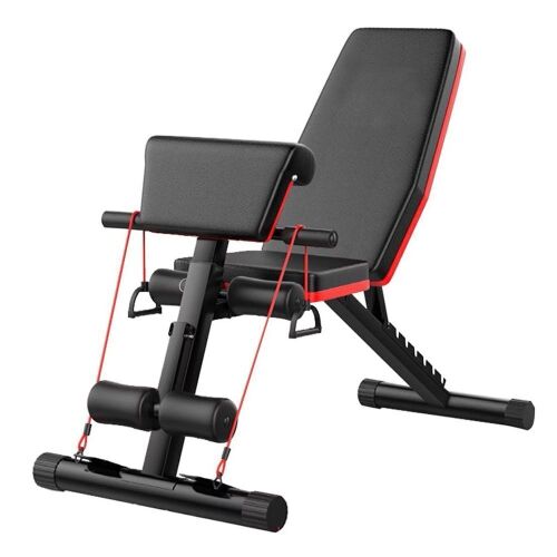 Adjustable Sit-Up Bench - Lot 587