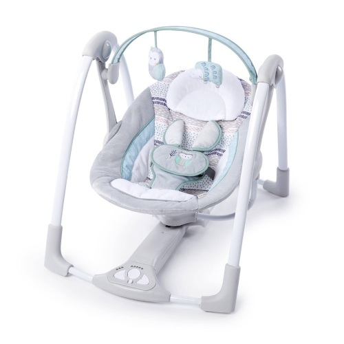 Ingenuity Power Adapt Portable Swing - Appears New  - Lot 300