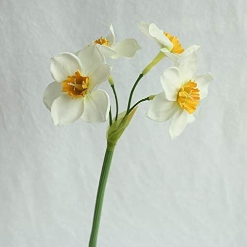 Case of (38) Artificial Daffodil Flowers, 12 PC/Box - New - Lot 695