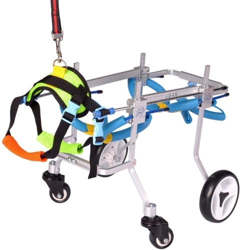 Pet Wheelchair - Appears New - Lot 301