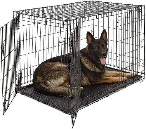 MidWest Homes for Pets Dog Crate 48" x 30" x 33" - Appears New  - Lot 1142