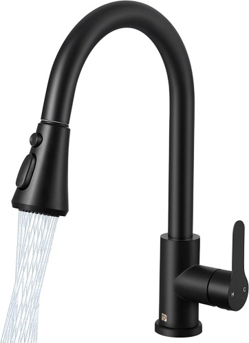Kitchen Faucet with Pull Down Sprayer - Lot 356
