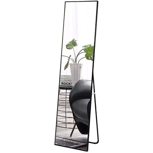 16"x59" Full Length Mirror - Lot 447