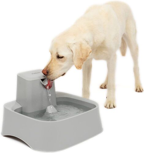 PetSafe Drinkwell Gallon Fountain - Lot 241