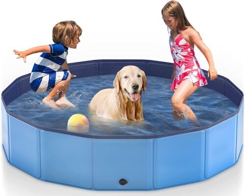 Portable Folding Hard Plastic PVC Pet Pool, 63" x 12"  - Lot 359