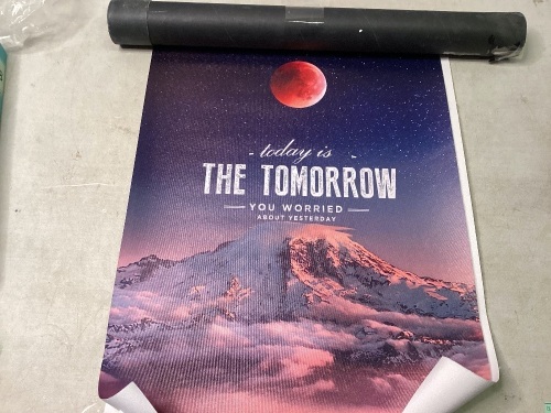 Set of 2 Inspirational Posters - Lot 213