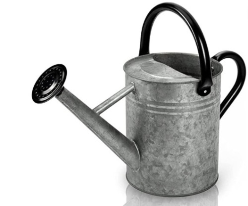 Cesun Galvanized Steel Watering Can, 1 Gallon, Vintage Zinc - Lot 958