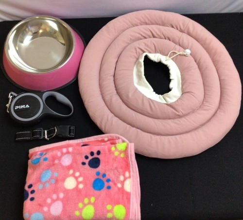Bundle of Dog Items - Lot 306