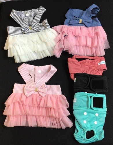 Bundle of Dog Items - Lot 384