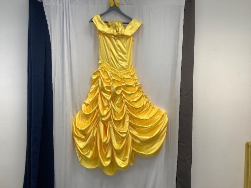 Belle Costume - Lot 506