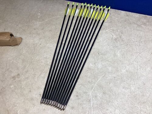 Lot of (12) Arrows - Lot 537