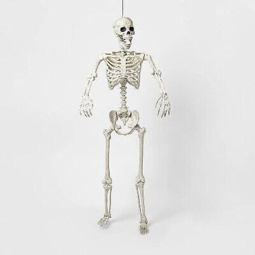 60" Posable Skeleton  - Lot 787