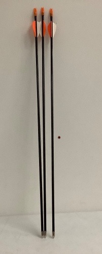 (3) Bear Archery Arrows, E-Commerce Return - Lot 648