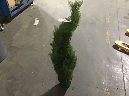 National Tree Company 48" Artificial Arborvitae - Lot 733