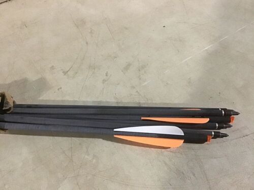 Set of 6 Arrows  - Lot 849