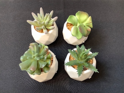Set of 4 Mini Faux Succulent Planters - Lot 351